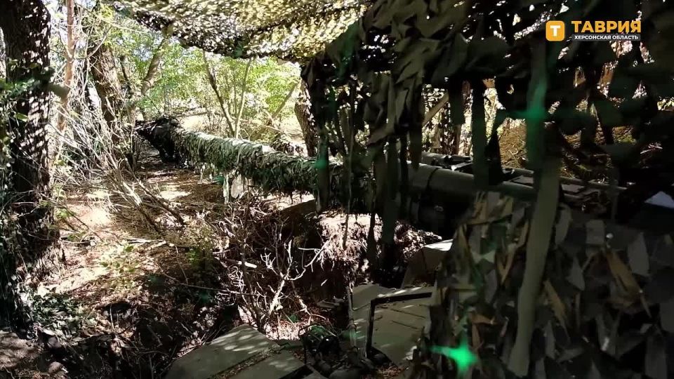 ������� ���������� ����������� ����� "�����" �������� ������������ � �������� ���������� �� ������ ��������