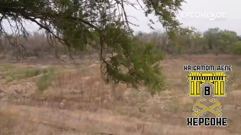 �������� �������!. � ���������� ������� ���������� ���������� ������������ 13 ������ � ����� �� ������������ �������