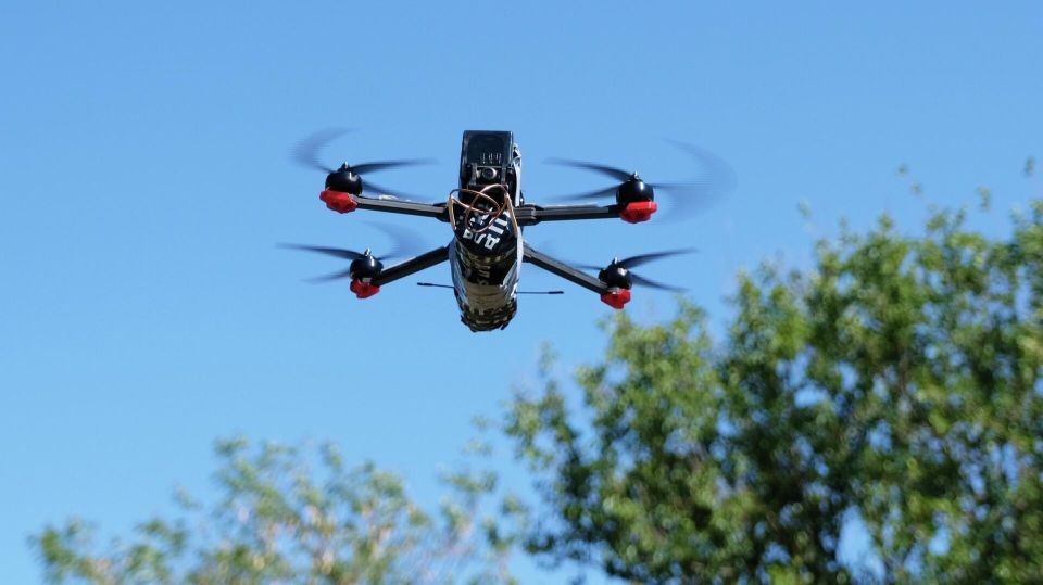 ������������� ����������� ����� "�����" ������� ��������� ����� ���� � ������� ���