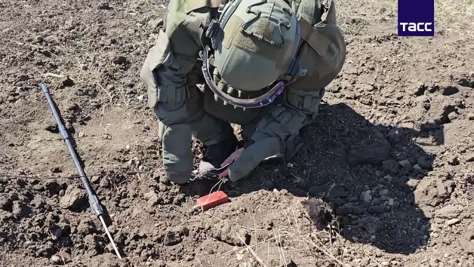 ��� ������ � ���� ���� ����-�������, ������������� � ���������