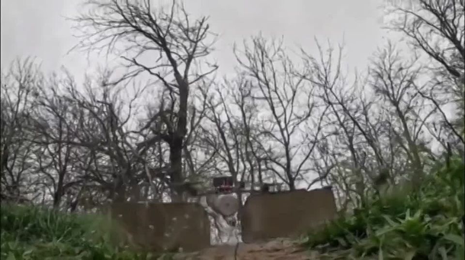 ���� �� �������: ������������ ������ �������� ����� ������ ������ ���������� ���� ����������� ����� ������