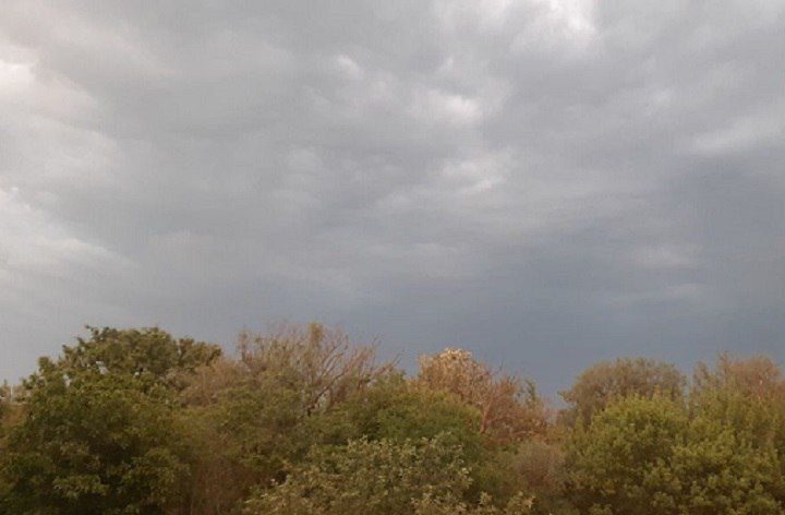 � ���������� ������� 22 �������� ��������� ������ ������ ��� �������