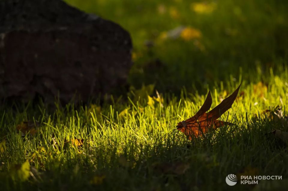 ������ �� ����� ����������� ������