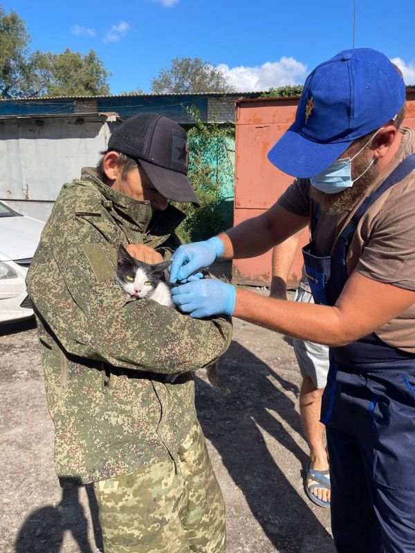 ���������������� ���������� �������� �������� � ���������� ������������� ������