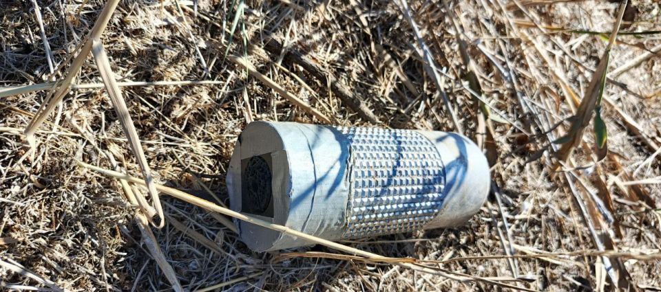 ��� � ���������� ������� ������������� � ����������� ���� ����-�������