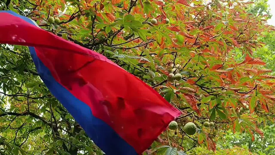 ������ ����, ������ ���������� �������������� ������!