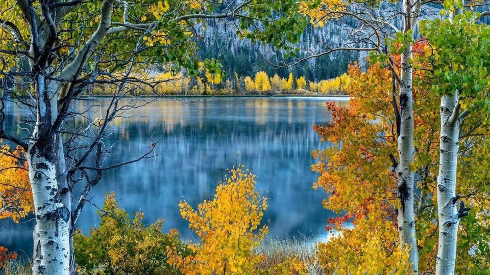 ����� �� ������ , � ��� ��� �� ����� , �� ���� �������� ��� . � ���� �� ������ � ������� , � �� ��� ������ ������ ���