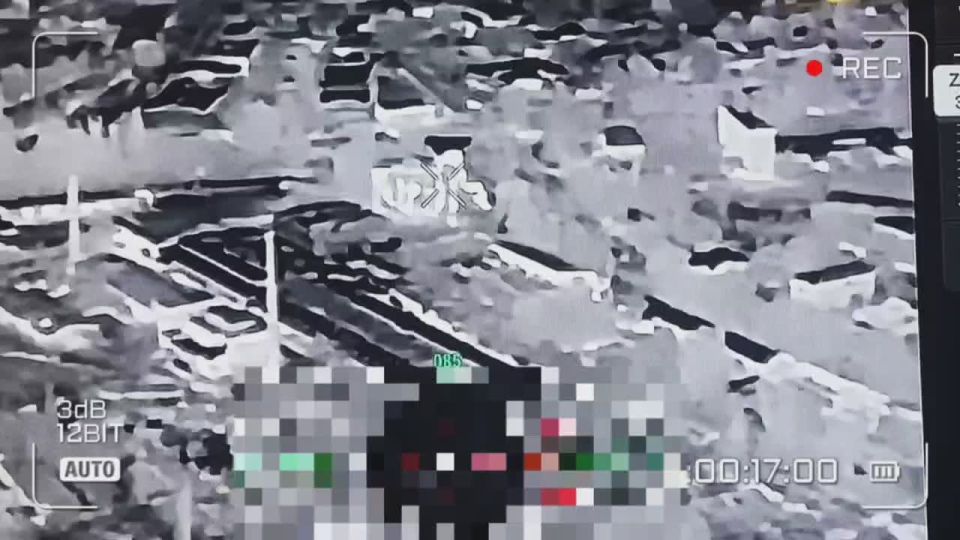 ������. ������� ����