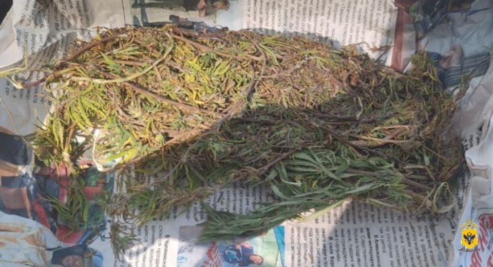 ������ ��������� ������ ��������� ��������������� �� ���������� ������ ������������� �������