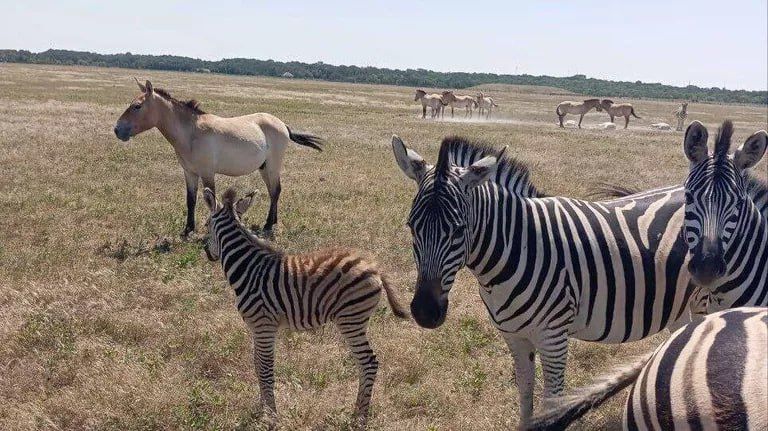 �� ���������� ����� ����������� ����� ������