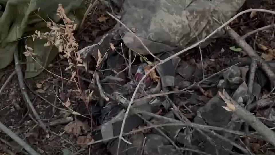 ��������� ���������.. ��������-����� ���������� �������