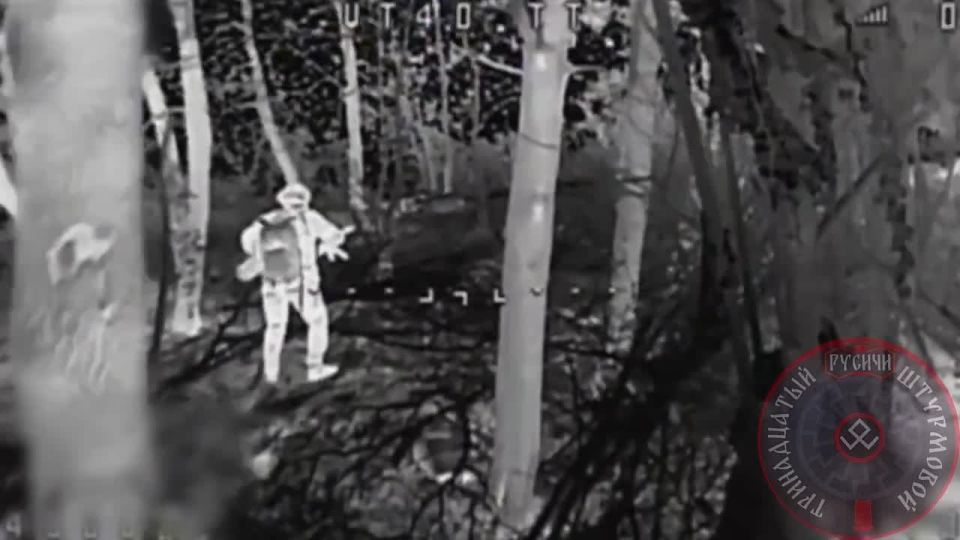 ���������.. ������ �����