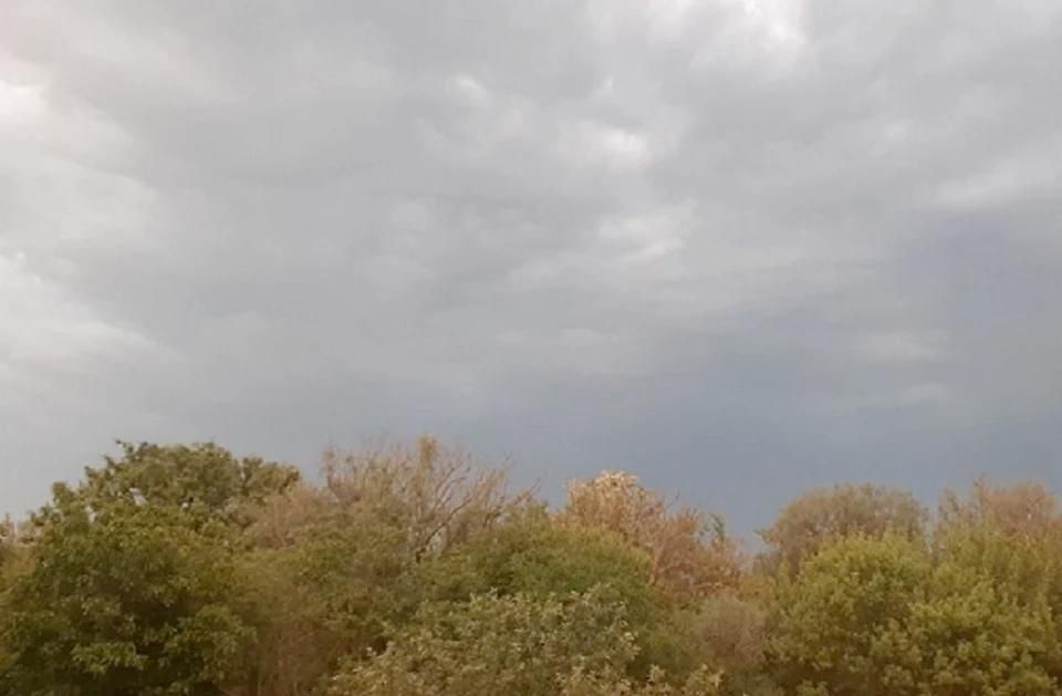 ������ � ��������� 23 ��������: ����������� � ��� �������