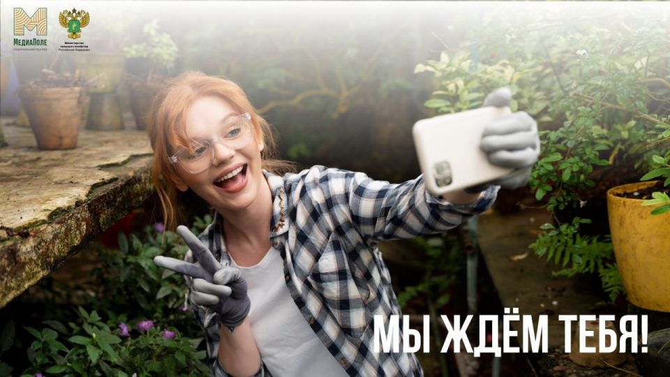 ������������ ������ ���������� � �� ������������ � �������� ������