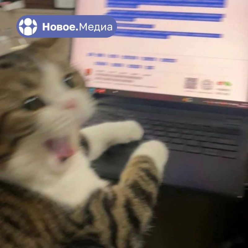 ��� ��� �������� � ������� ����������� ��������������� ������?