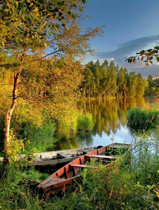 ��� � ��������� ����� ���� , ����� �������� � ����� ����� . �������� ����� ����� ������ , ���� ���������