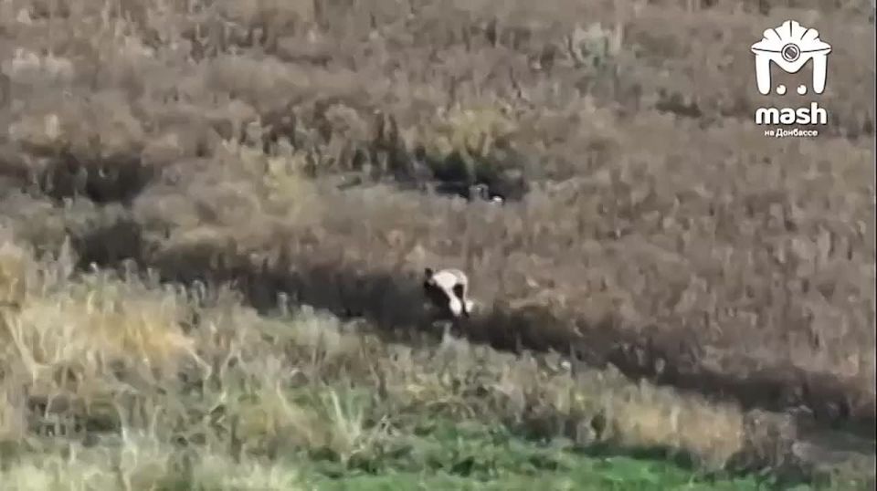 ������ ����������� ������, ������ ����� ������������� �������� ����� ��� ��������� �� �����, ����� �������� ��� �� ����