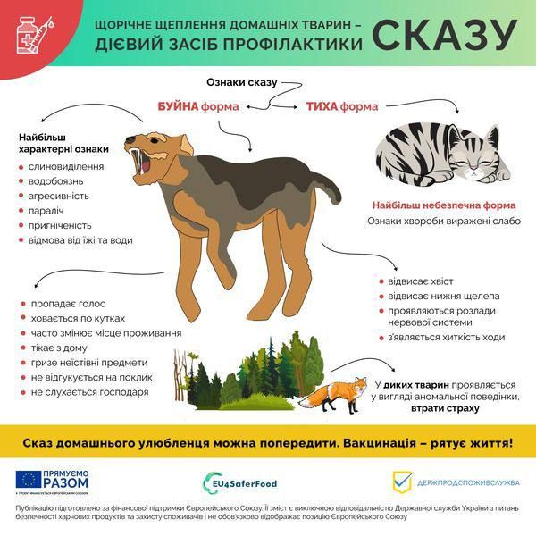 ������� ��������� � ��������