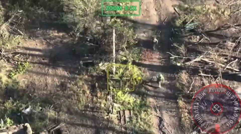 ���������.. ����������� ������ ����������