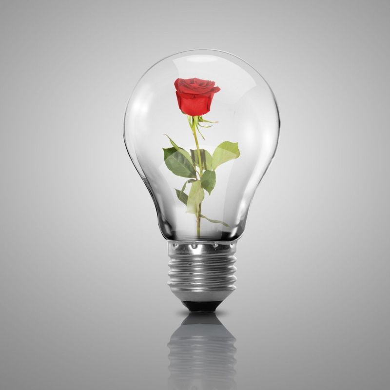 В населенных пунктах Новотроицкого округа отключат электричество