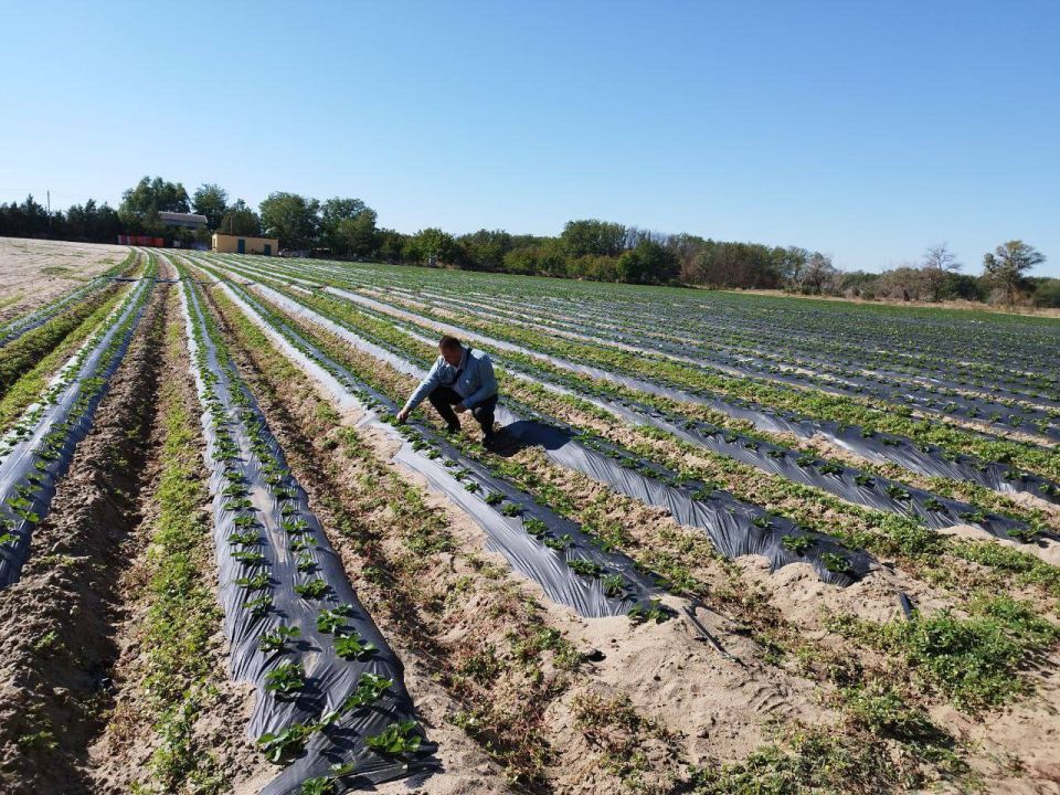 Владимир Оганесов: Уверен в нашем аграрном потенциале!