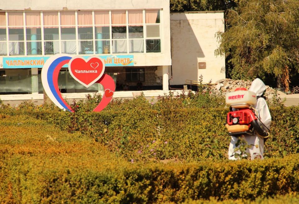 В пгт Чаплинка проведена акарицидная обработка территорий