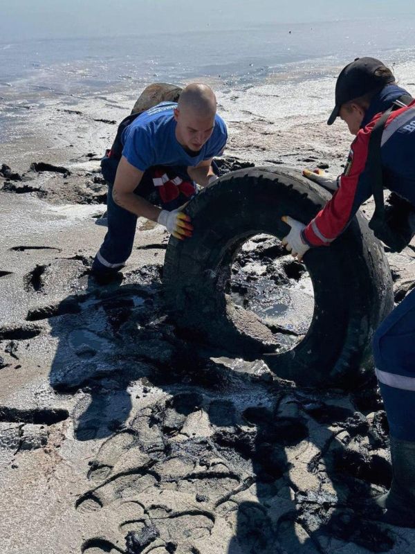 ������������ ��������� ������� �������� ����� � ���������� �������