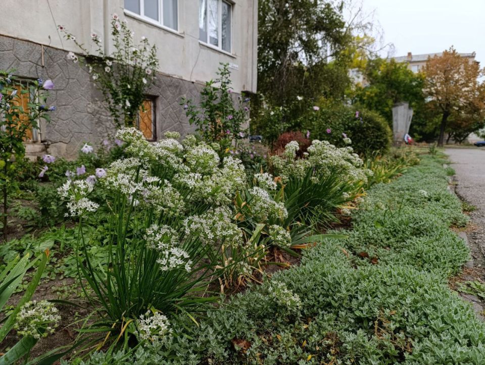 ������ ����, ������ ���������� �������������� ������!