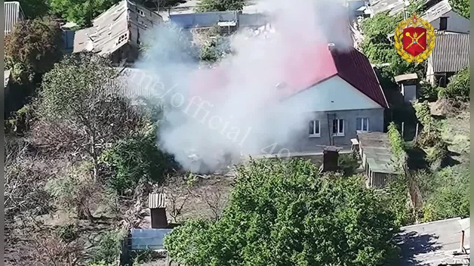 ��������� ����������� ��������� 49-� ����� ������� ������ ���� �� ����� ����������