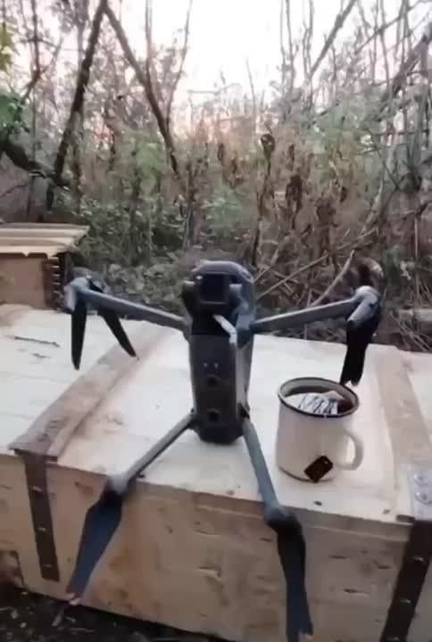 � �����, ������� ������, ������ �������� � ������, � ������������ ������� �� �������� ������ ���!