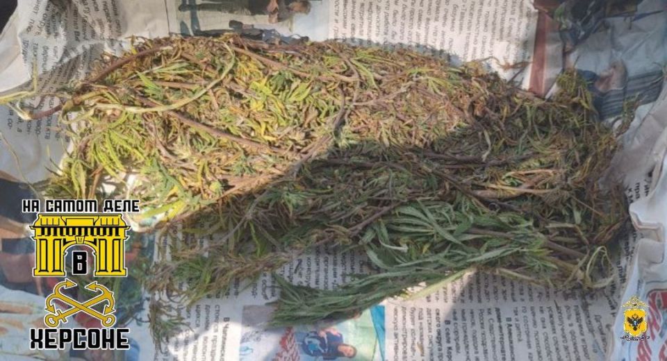 � ��������� ������� ��������� 48-������� ���������, ���������� ������-����� �� ����