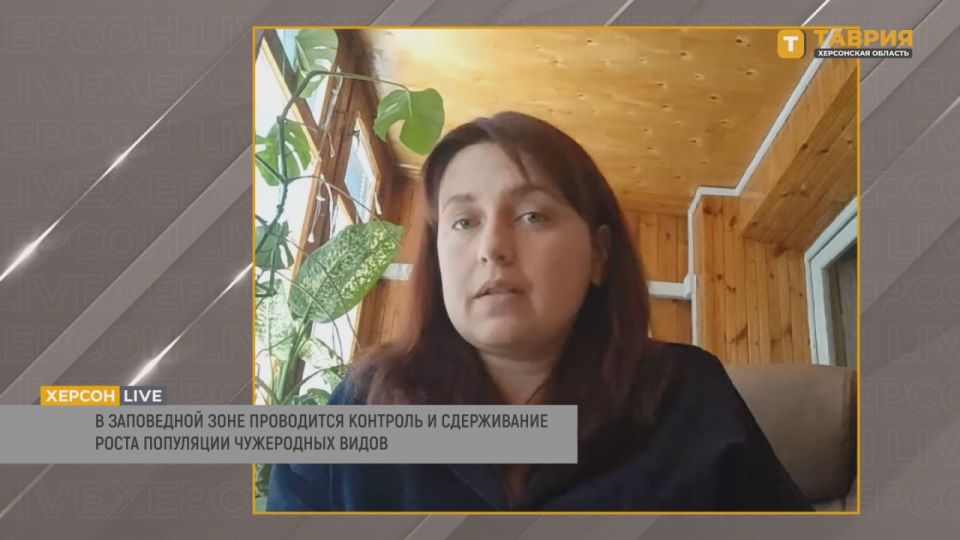 �������� ������ ����������� ������������� ����������� ����������� � ���������� ��� ���������� � ������, ���������� ����� ����������