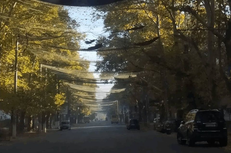 ������, �������, ������� � ��������� ���������� ���������, ���� �� ���������� ������������ �����, ����������� �������� �������� �� ��������������� ����� � 28 ��������� ������