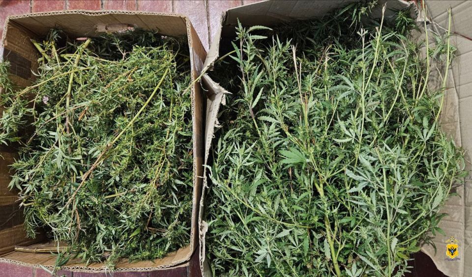 Полицейские изъяли наркотические вещества у двух жителей Алешкинского и Голопристанского округов