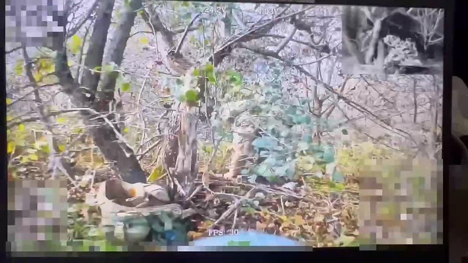 �������.. ��������-����� ���������� �������