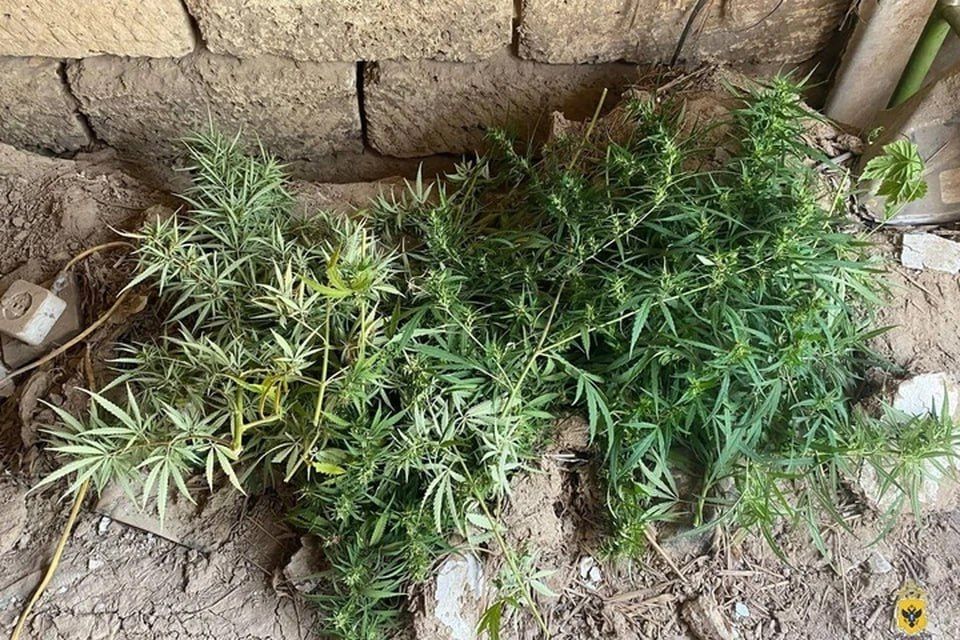 � ���� ������� ���������� ������� ������ ��������� �������