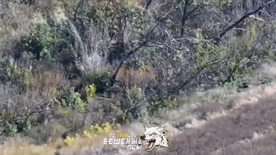 � � �������!. ����� ���� � ����� ���������� ��������, ������� �������� ��� ������