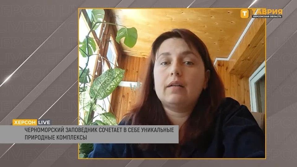 ����� ����������: ������� ������ �������� ������� ����� ��������������� ������������� ����������� �����������