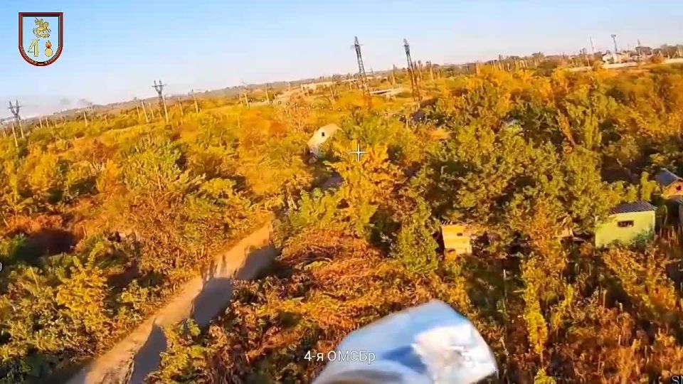 - �113. ��������-����� ���������� �������