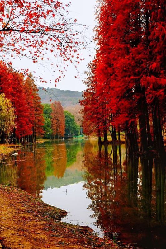 �� , ������� � ������ ������ , ���� ����� , �������� ��� . �� ������ ������ ��� ������� , ������� , ��� �����