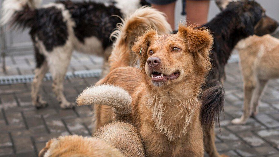 �������: ������ � ����� �������� ���������� ������������ ������� �����