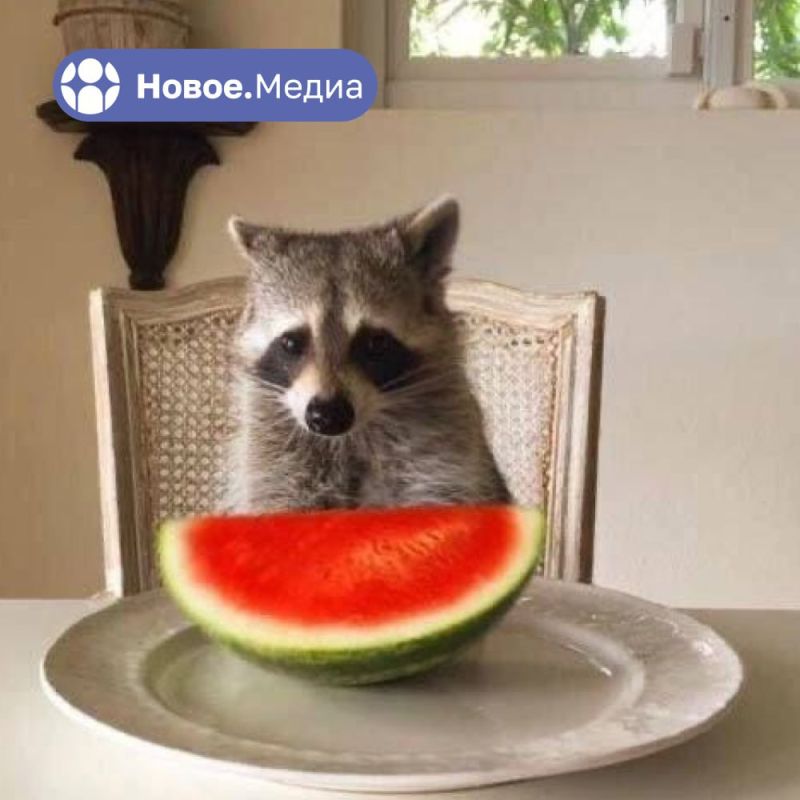 ���� �� �������: ������� ������� ��� �������������� � ���� � ���������� ����� � �����.������ � ����������!