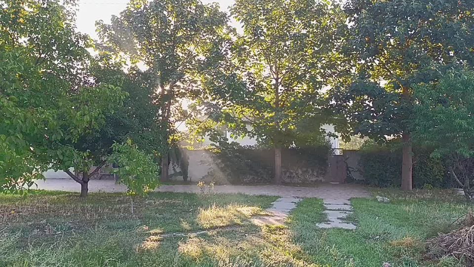 ������ ����, ������ ���������� �������������� ������!