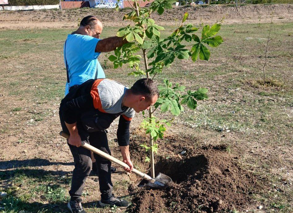 В Чаплинском муниципальном округе проведены работы по благоустройству территории