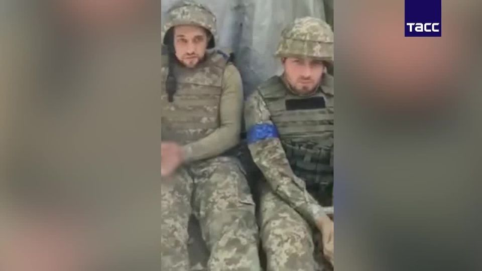 ������ ���������� ������ ������� � ���� � �������� ����������� �������, �������� ���� � ���������� ������� ����������