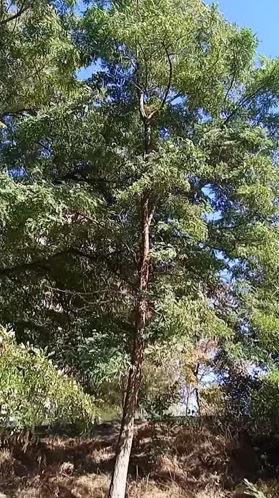 �������� ����� ����� � �������