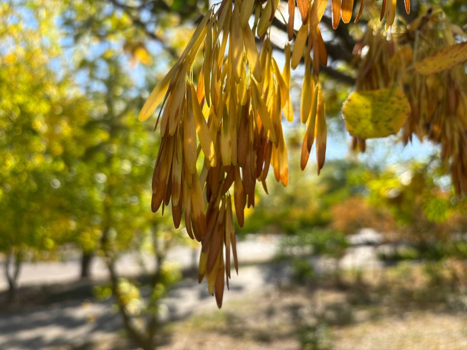 Доброе утро, новокаховчане!