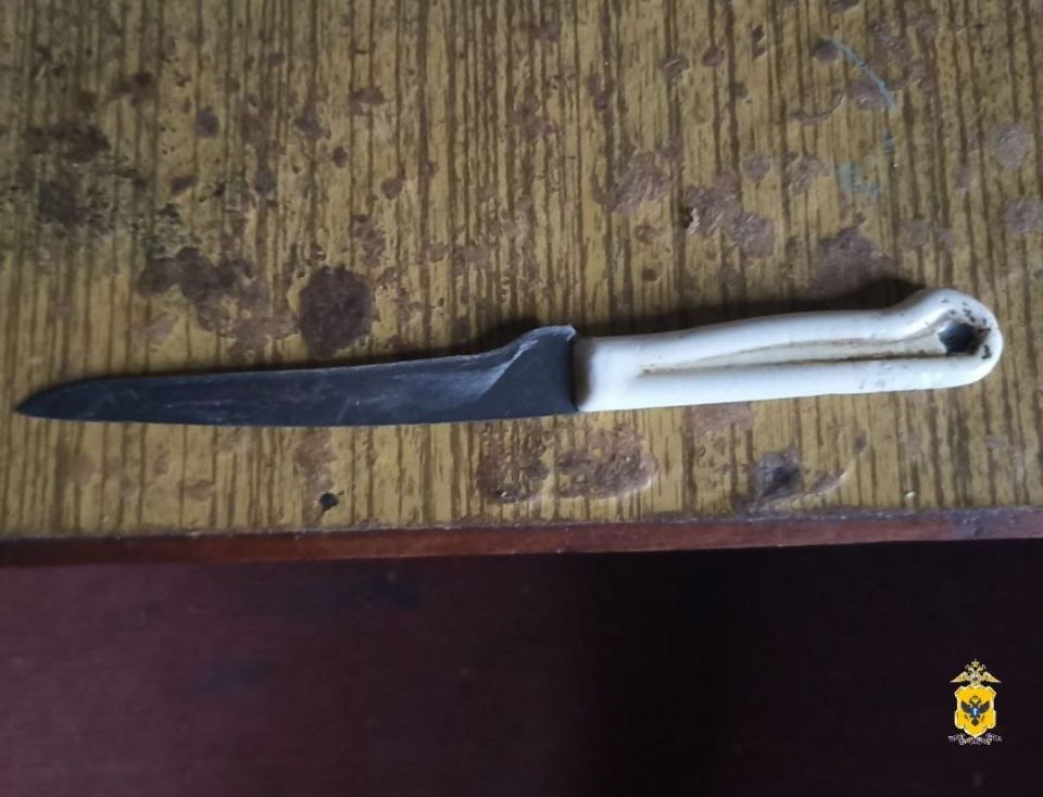 В Чаплинском округе полиция задержала 20-летнюю девушку, подозреваемую в угрозе убийством