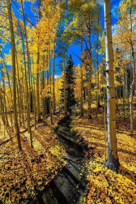 ������� ����� ��� ���� ������� , ������ , � ������� ������� . �� ����� ��������� ������ , ��� ��������� �����