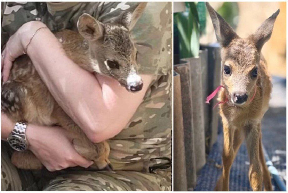 ����� - ��� �� ������ ����� �������� ����� ������, �� � ����� ��������� �������� �� ������ �������